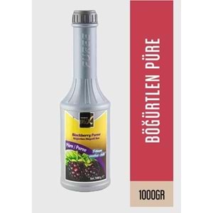 UNİCOMİX BÖĞÜRTLEN PÜRE 1150 GR