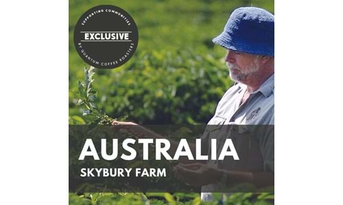 Bir Başka Lezzet Avustralya Kahvesi Skybury..