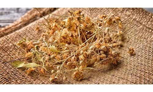 Ihlamur Nerede Bulabilirim?