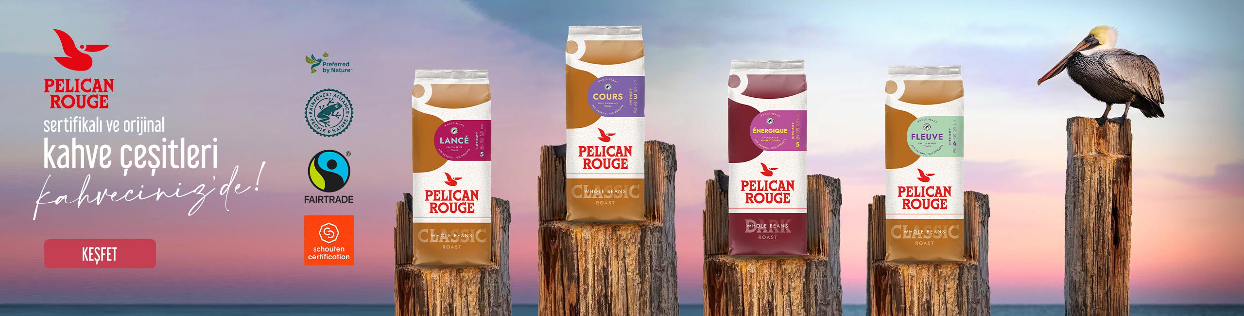 Pelican Rouge