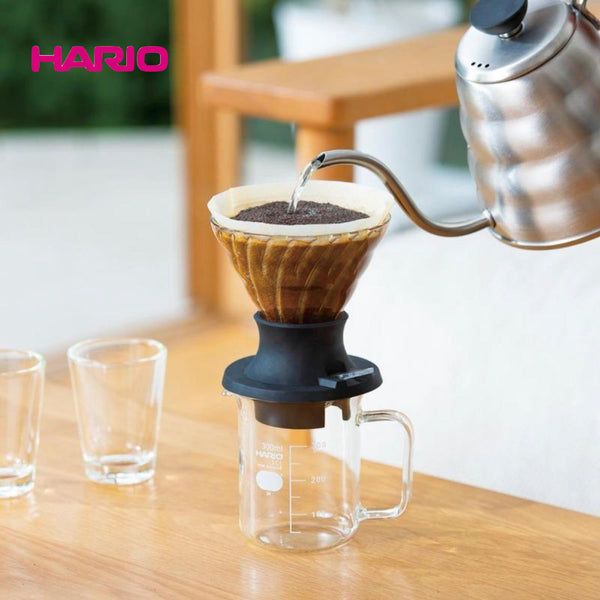 Japon Yaratıcılığının Eseri Hario